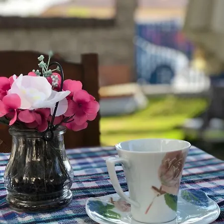 Oda ve Kahvaltı Tuana Butik 2*